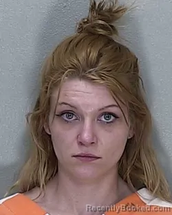 Mugshot of MEGAN RILEY MORROW