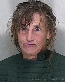 Mugshot of WENDY LYNN HYLTON