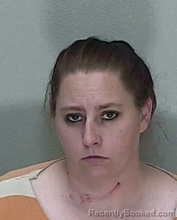 Mugshot of AMANDA NICOLE COLLIER
