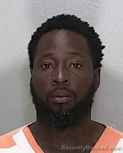 Mugshot of ROBERT WEBB