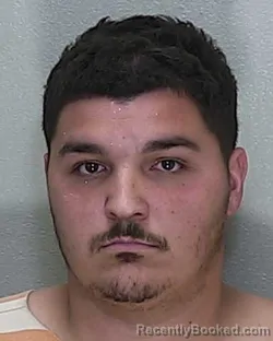 Mugshot of JOSHUA ETHAN DILL