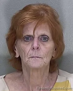 Mugshot of LINDA LOU WILSON
