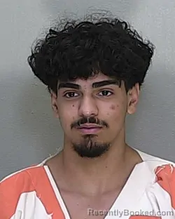 Mugshot of OSCAR RAUL MORALES