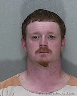 Mugshot of DALTON LEVI AUSTIN