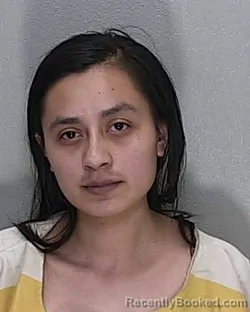 Mugshot of ADRIANA VARGAS