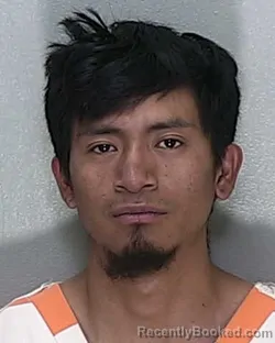 Mugshot of GABRIEL PEREZ RAMIRO BALDEMAR