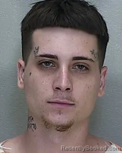 Mugshot of CHRISTIAN MICHAEL HIGGINS