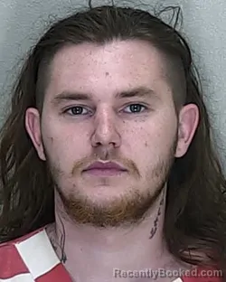 Mugshot of LOGAN JAMES RAVERTY