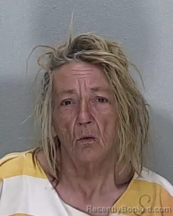 Mugshot of DEBRA LYNN YOUNG