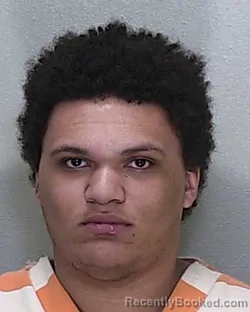 Booking photo from Marion County, Florida