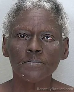Mugshot of DONITA ELIZABETH JONES