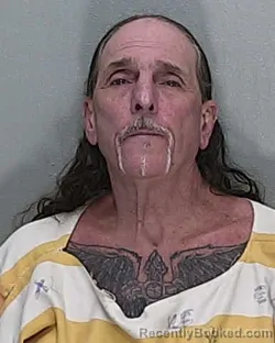 Mugshot of ROBIN R MARCHETTI