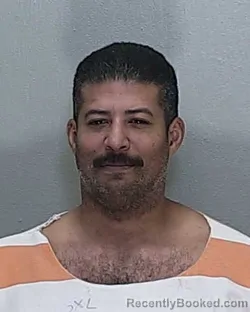 Mugshot of RYAN ANDREW HODGE