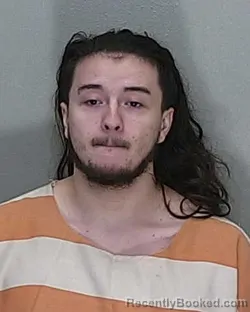 Mugshot of MATTHEW THOMAS DAVIDSON