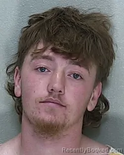 Mugshot of DAVID TIMOTHY ALEXANDER