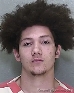 Mugshot of CALVIN JAMES RICCI