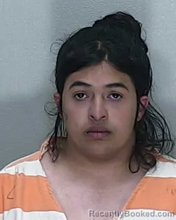 Mugshot of VICTOR HUGO LOPEZ DURON