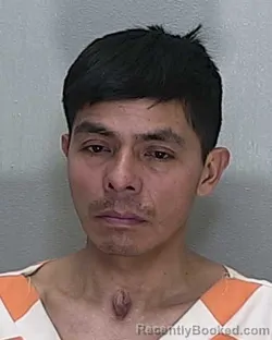 Mugshot of VALERIANO TERRAZA PEREZ