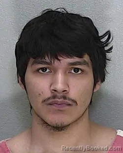 Mugshot of FABIAN MARTINEZ