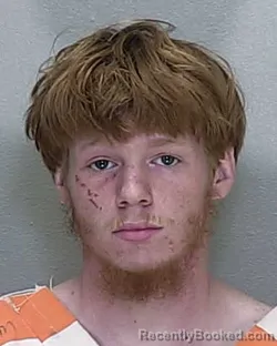 Mugshot of LATHAN EVAN MARTIN