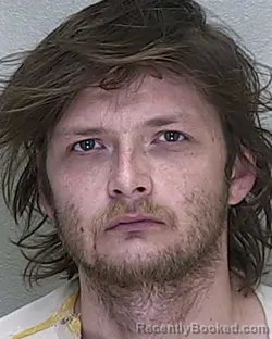 Mugshot of NICOLAS MACKENZIE PARIS