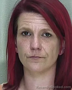 Mugshot of LAUREN MICHELLE WILLIAMS