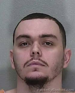 Mugshot of RION BRADLEY BERTOT