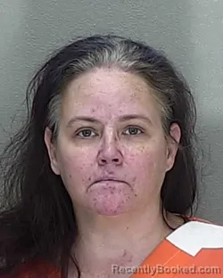 Mugshot of HEATHER ANN PHILLIPS