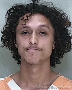 Mugshot of ADDISON MICHAEL WILKERSON