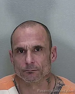 Mugshot of PETER JOHN MEDICO JR