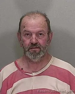 Mugshot of ROBERT LEE BOWSER