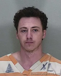 Mugshot of TRAVIS MCCOY POWELL
