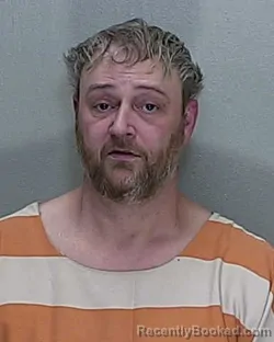 Mugshot of BRETT L WHITMIRE