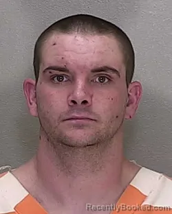 Mugshot of JOHN LOUIS SERVO