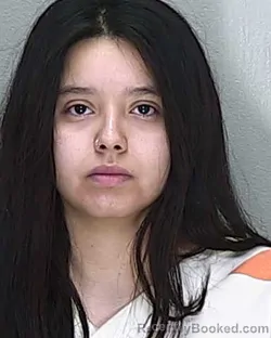 Mugshot of GERALDINE CELESTE DOMINGUEZ-GUERRERO