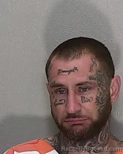 Mugshot of JERRY M WATKINS JR