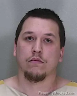 Mugshot of JOSHUA TYLER ROBINSON