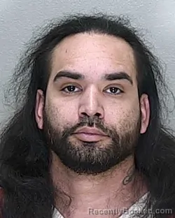 Mugshot of ANGEL HERNANDEZ