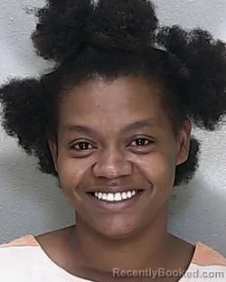 Mugshot of SUELYN C CHAMBERS