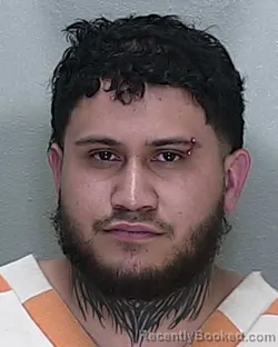 Mugshot of JASON LEONEL AGUILAR GARCIA