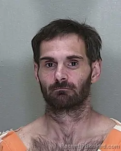 Mugshot of BRETT ALEXANDER PARSELLS