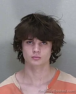 Mugshot of RYAN JAMES CHAPMAN