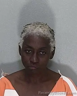 Mugshot of DIONNE SHARNETTA JOHNSON