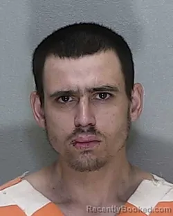 Mugshot of ALBERT JOE LANDGREN