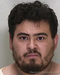 Mugshot of ELVIS ALEXANDER GONZALEZ VASQUEZ