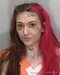 Mugshot of BROOKE ASHLEY STOKES