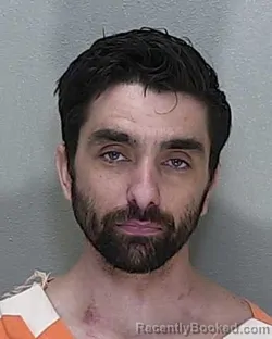 Mugshot of ROBERT LEE MCKINNEY