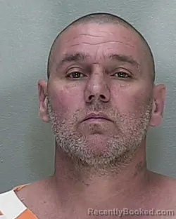 Mugshot of PHILLIP CLEVLON COLLINS JR