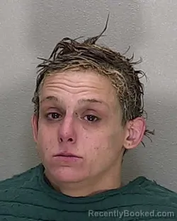 Mugshot of SABRINA LYNN SANCLEMENTE