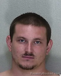 Mugshot of SHAWN MICHAEL BURTON